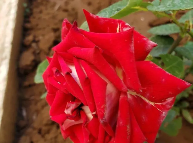 Evtimov Maison d'hôtes *